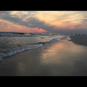 Meet your Posher, Haven